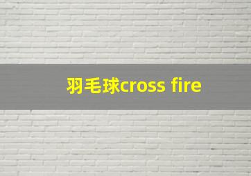 羽毛球cross fire